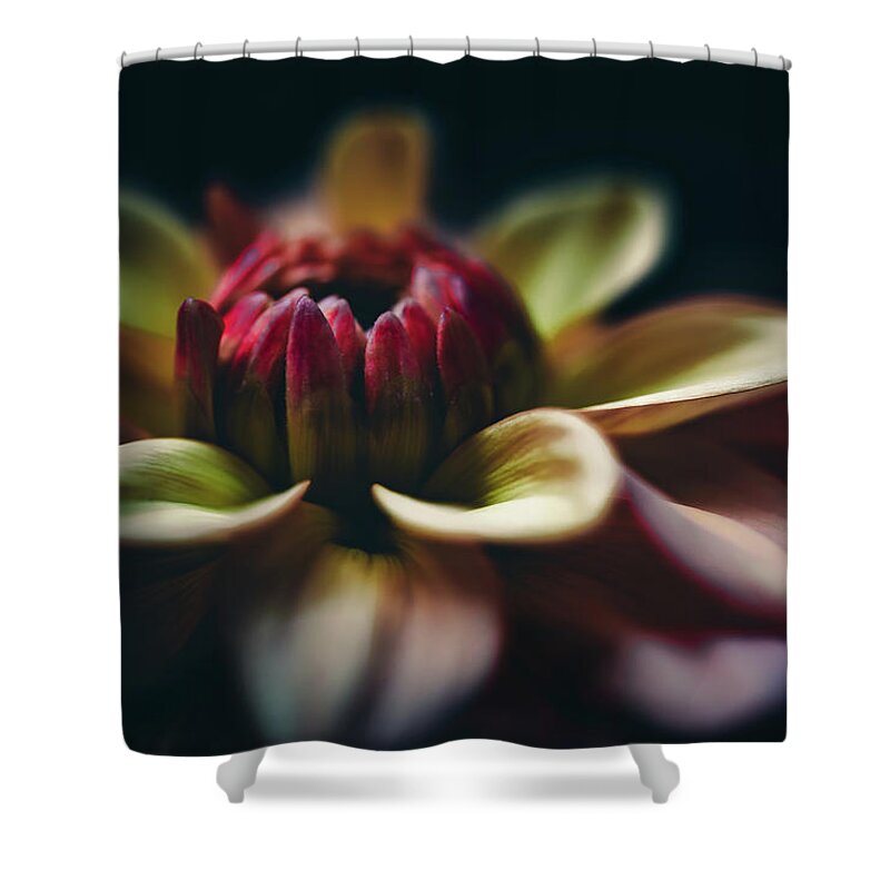 Dahlia Shower Curtain featuring the photograph Dahlia Alone by Ada Weyland