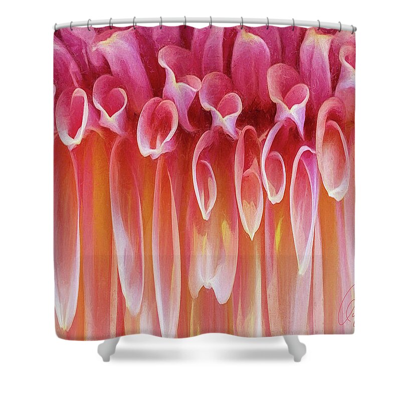 Abstract Shower Curtain featuring the photograph Dahlia by Karen Lynch