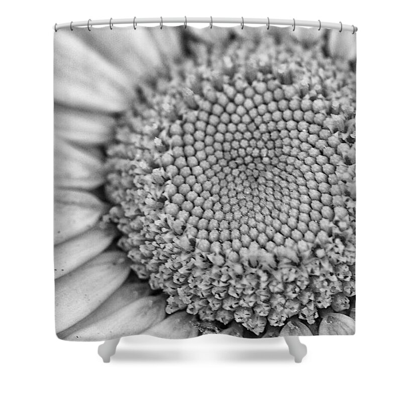 Daisy Shower Curtain featuring the photograph Daisy Detail in Black and White by Bob Decker