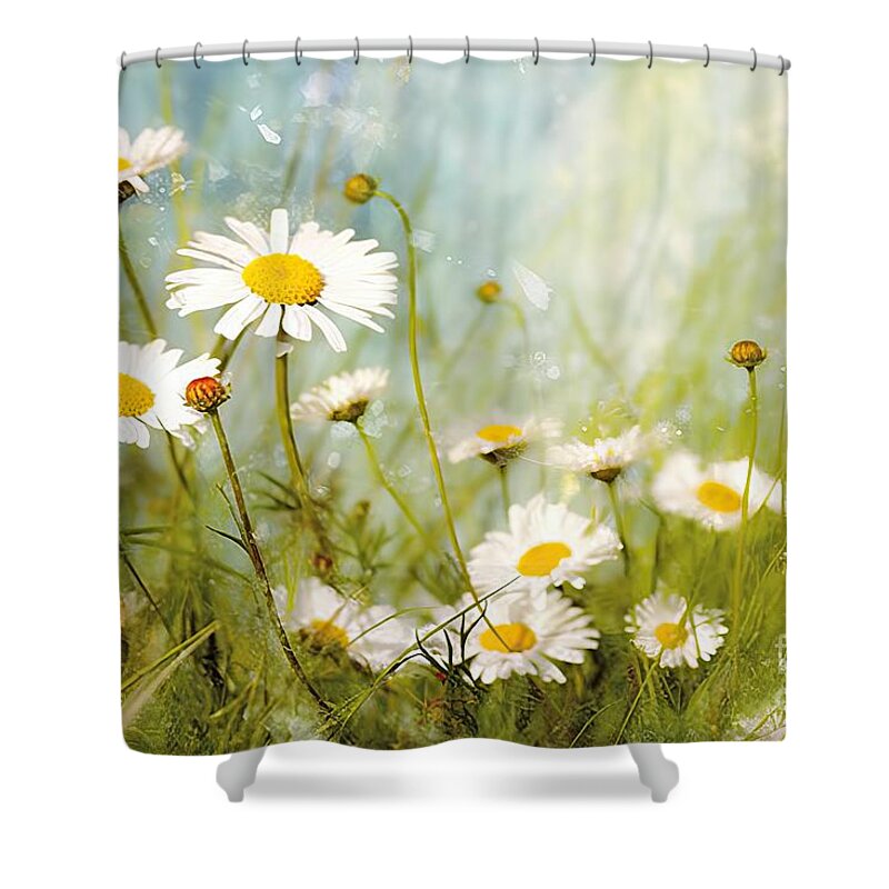 Aromatherapy Shower Curtains