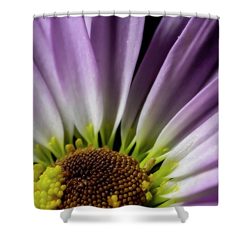 Purple Shower Curtain featuring the photograph Daisy Macro by Cathy Kovarik