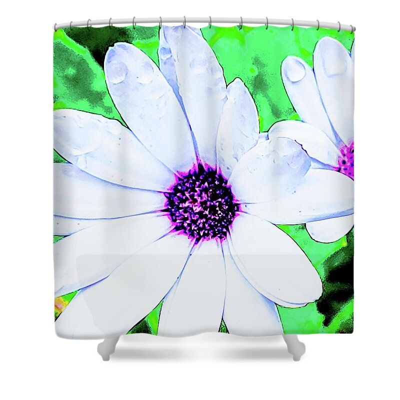 Close Up Of A Daisy Shower Curtain featuring the photograph Daisy by Meghan Gallagher