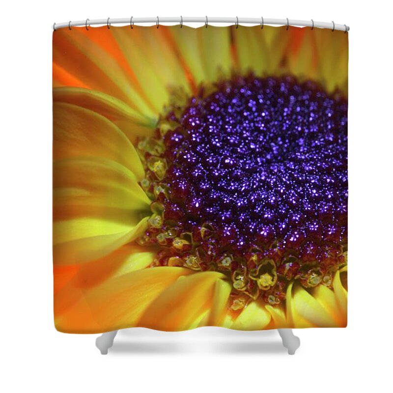 Daisy Shower Curtain featuring the photograph Daisy Yellow Orange by Julie Powell
