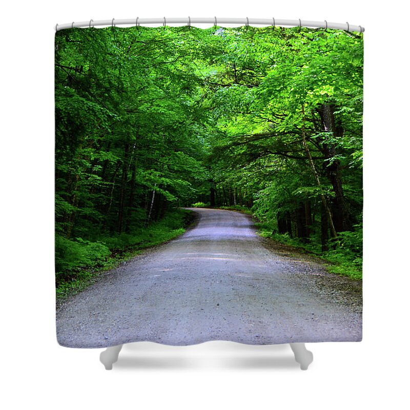Danby-langrove Road Shower Curtain featuring the photograph Danby-Langrove Road USFS 10 by Raymond Salani III