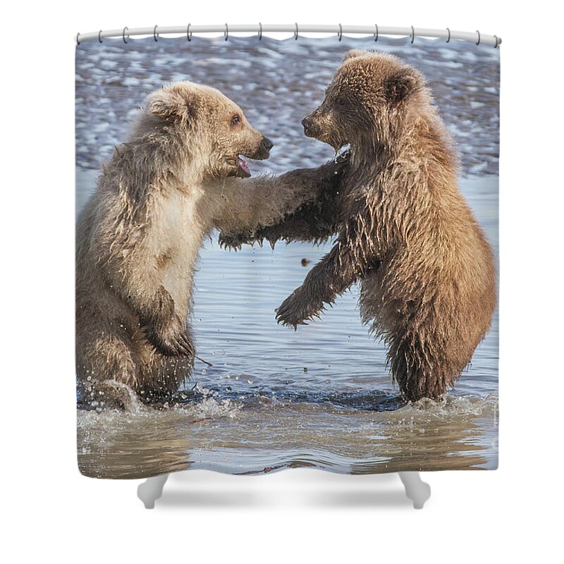 Bear Shower Curtain featuring the photograph Dancing Bears by Chris Scroggins