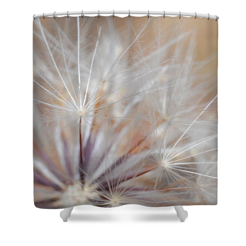 Nature Shower Curtain featuring the photograph Dandelion 3 by Amy Fose