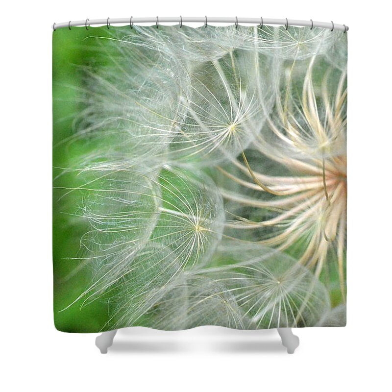 Nature Shower Curtain featuring the photograph Dandelion 5 by Amy Fose