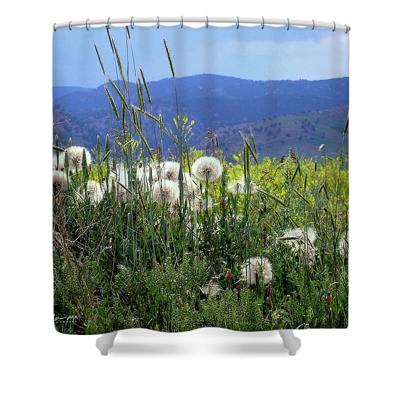 Dandelion Shower Curtain featuring the photograph Dandelions and Mountains by Kathryn Alexander MA