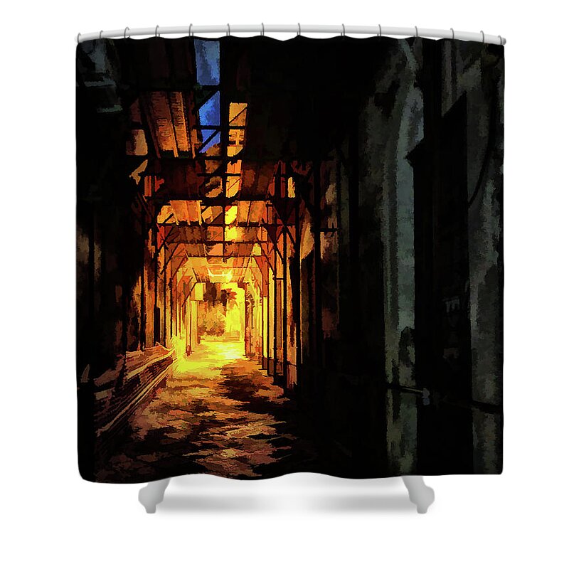 2019 Shower Curtain featuring the photograph Dante's Alley by Monroe Payne