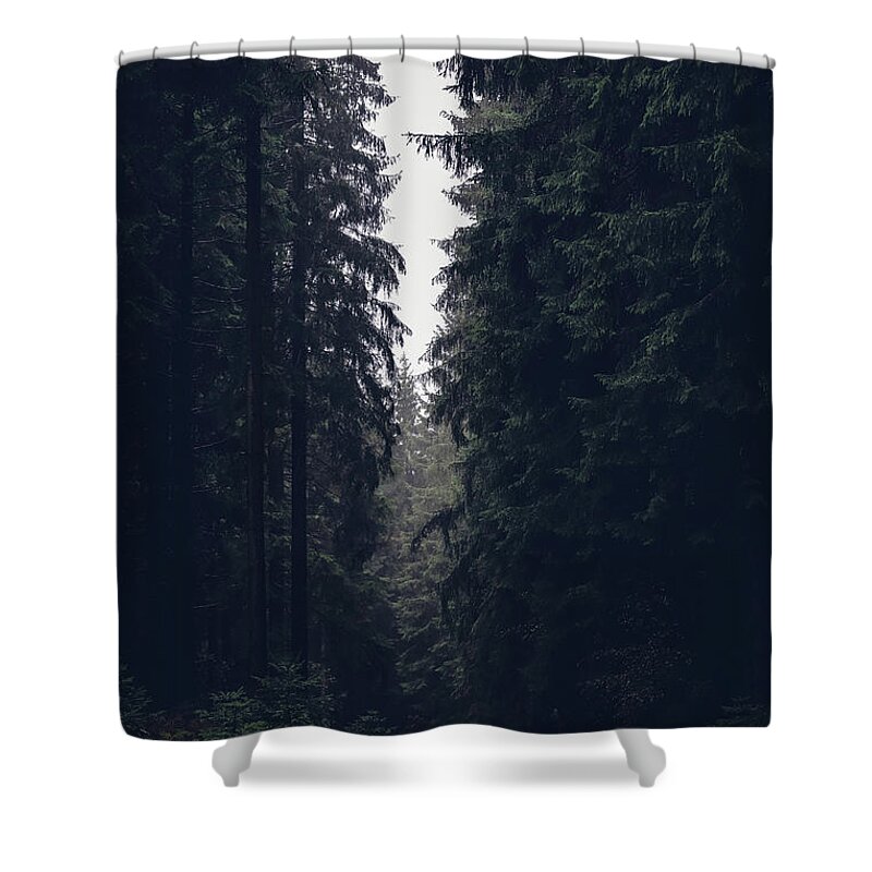 Forest Shower Curtain featuring the photograph Dark atmosphere in forest. Forgotten road in rainy day by Vaclav Sonnek
