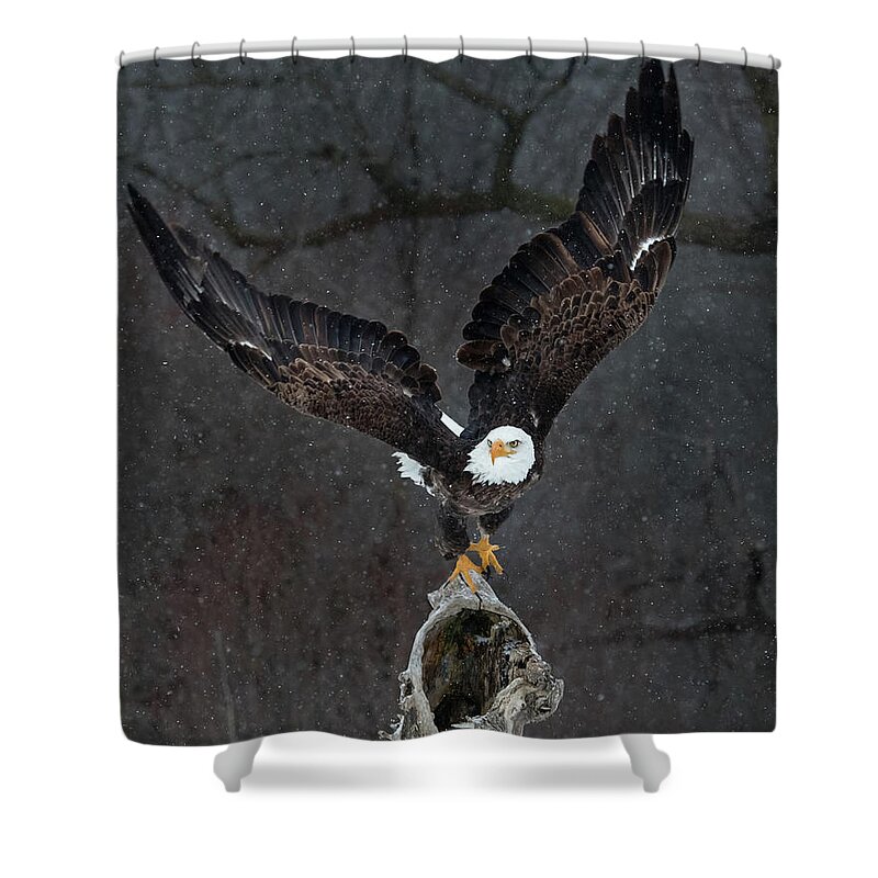 Dark Storm Shower Curtain featuring the photograph Dark Snowstorm by CR Courson