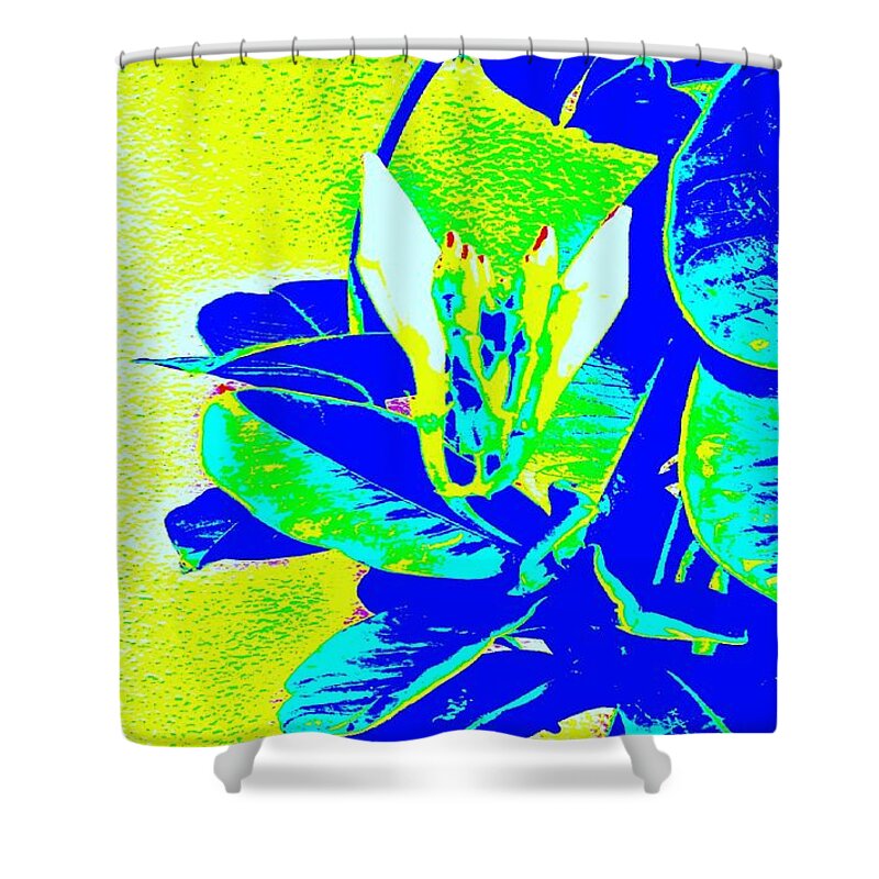 Flower Buds Shower Curtain featuring the photograph Darling Buds of November by VIVA Anderson