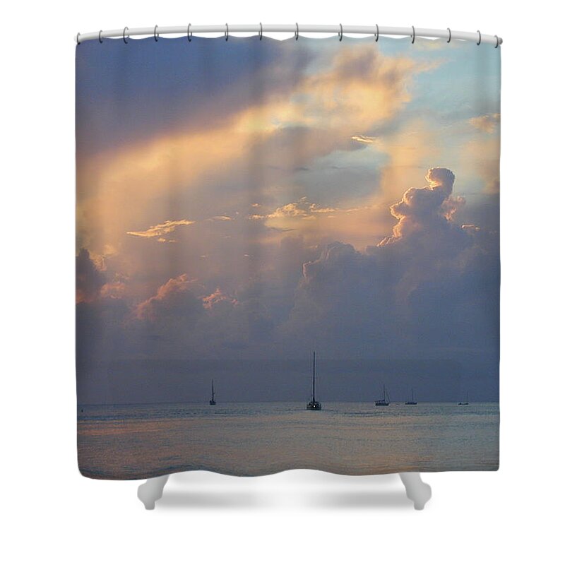  Shower Curtain featuring the painting David Sky by John Gholson