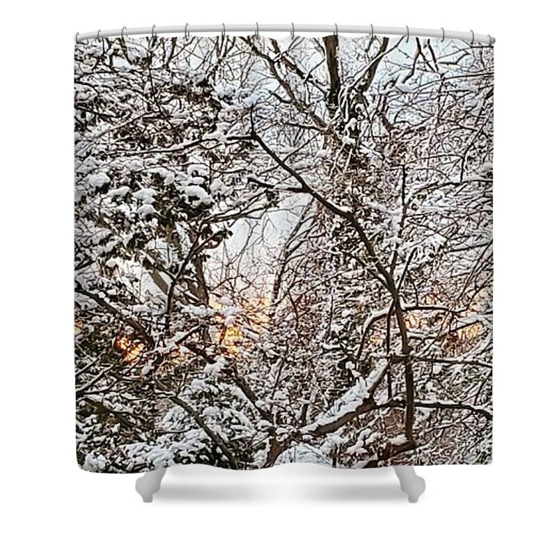Winter Trees Shower Curtain featuring the photograph Dawn Breaks through Freshly Snow Covered Trees by Stacie Siemsen