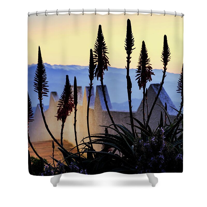 Flora And Fauna Shower Curtain featuring the photograph Dawn in Pueblo by Gary Browne