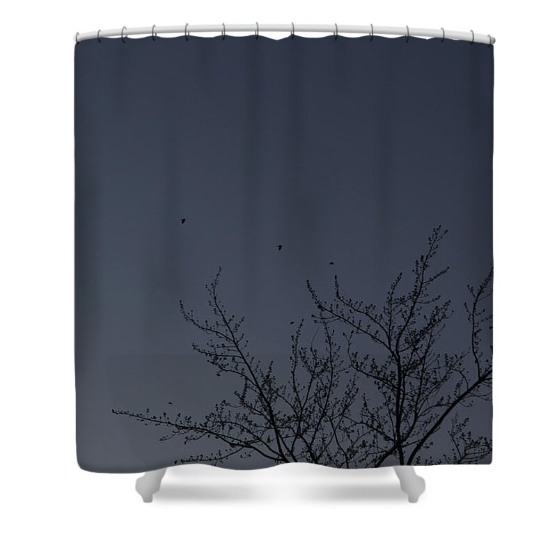  Dark Blue Morning Sunrise Dawn Birds Flying Robins Grey-blue Blue-gray Subtle Colors Shower Curtain featuring the photograph Dawn Sky Dotted with Robins March 3, 2021 by Miriam A Kilmer