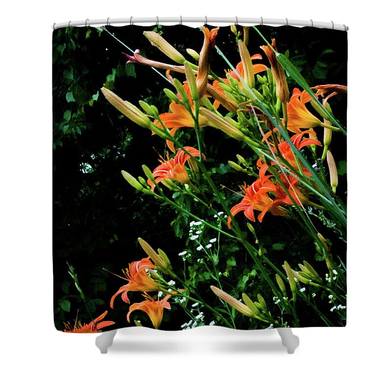 Faa Shower Curtain featuring the photograph Daylilies 2 by Lee Beuther