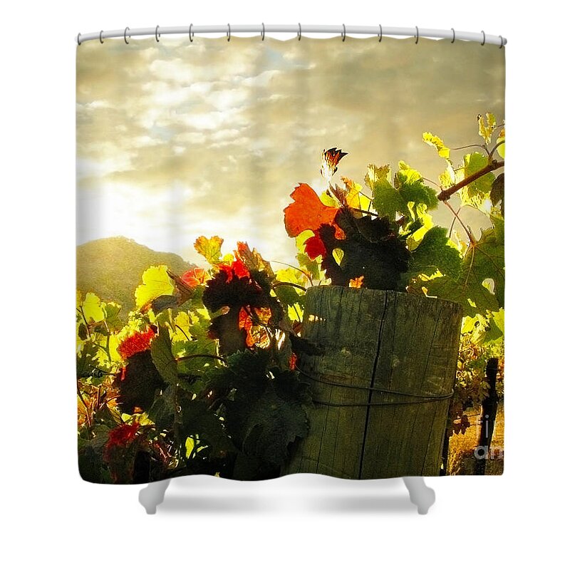 Napa Shower Curtain featuring the photograph Days End in Napa by Ellen Cotton