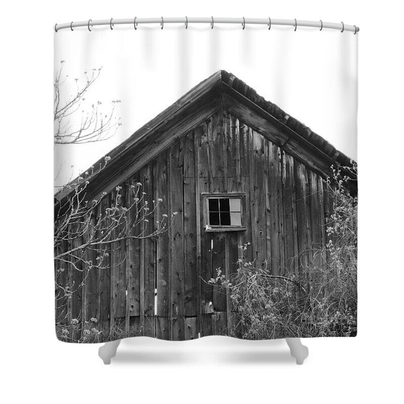 Barn Wood Shower Curtain featuring the photograph Days Gone By by Bill Tomsa