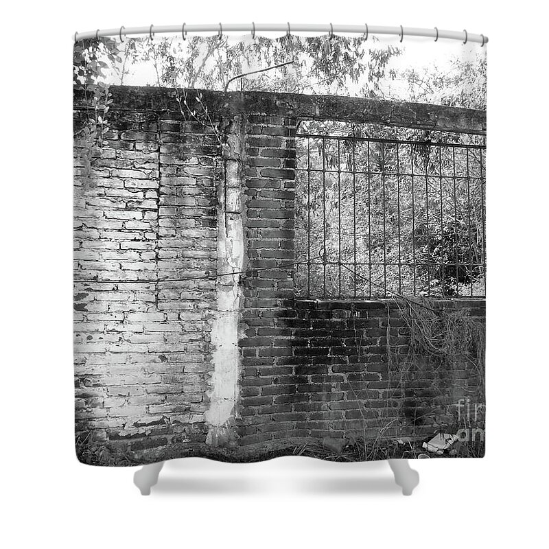  Shower Curtain featuring the photograph Days Gone By by Rosanne Licciardi