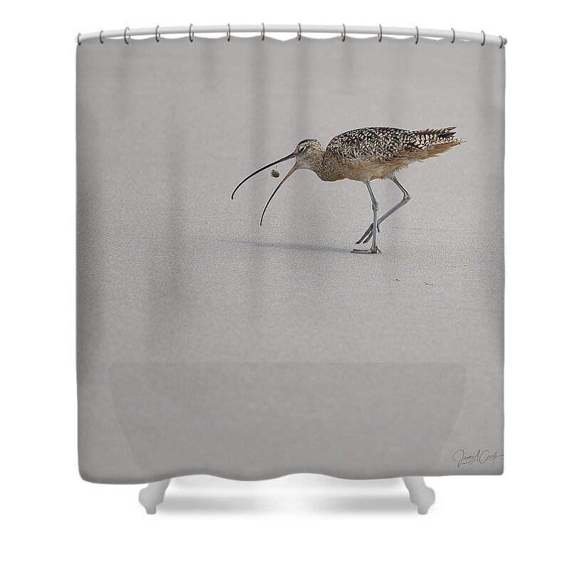 Animals Shower Curtain featuring the photograph Death of a Sand Crab by James Covello