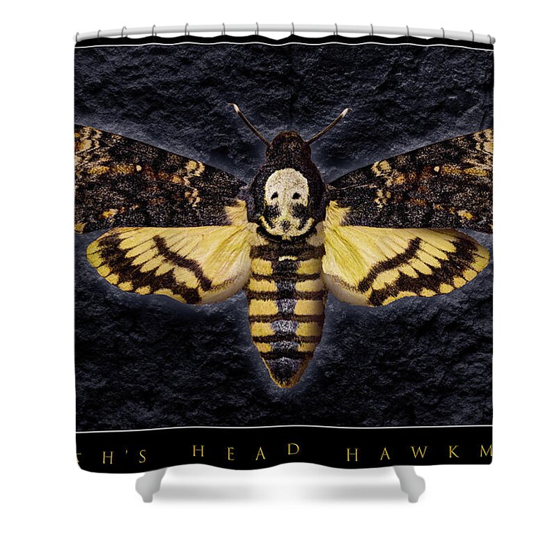 Death's-head Hawkmoth Shower Curtain featuring the photograph Deaths Head Hawk Moth Framed Version by Weston Westmoreland