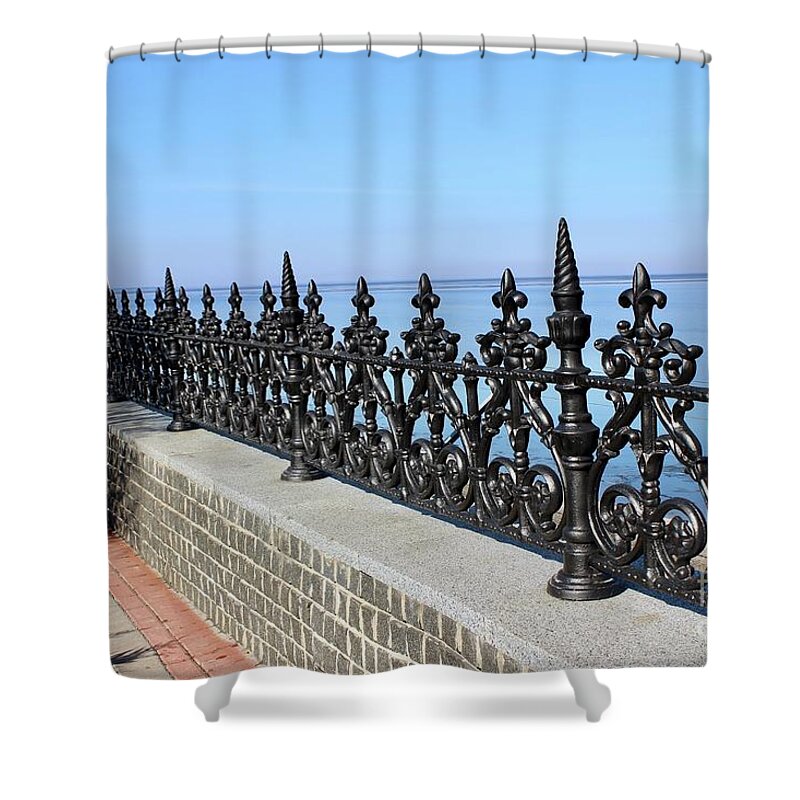  Shower Curtain featuring the photograph Decorative fence by Annamaria Frost