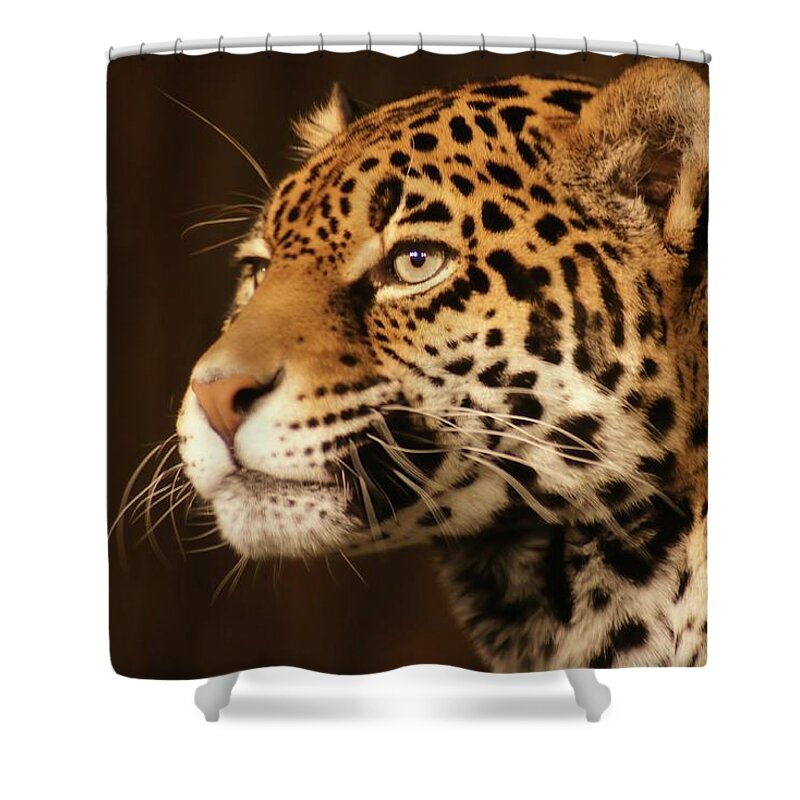 Jaguar Shower Curtain featuring the photograph Deep in Thought by Deb Beausoleil