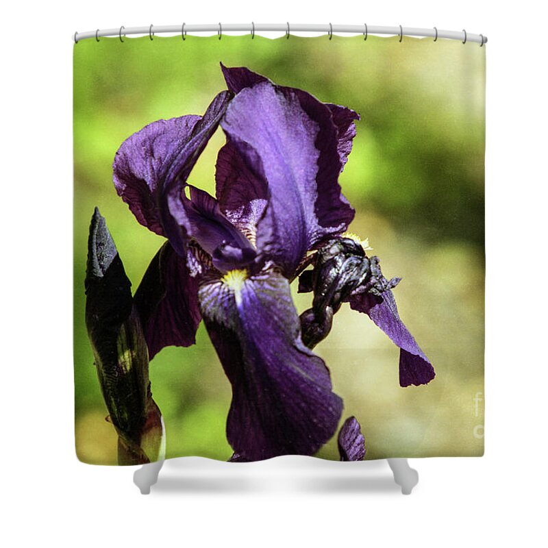 Arizona Shower Curtain featuring the photograph Deep Purple by Kathy McClure