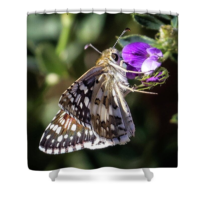 Butterfly Shower Curtain featuring the photograph Delicate Beauty by Laura Putman
