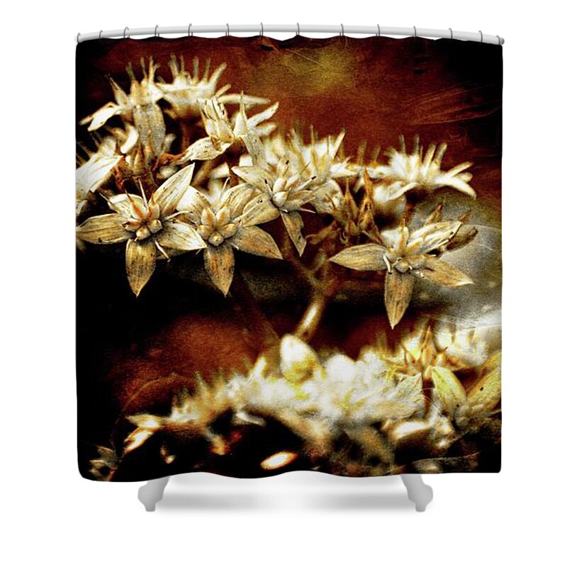 Beauty Shower Curtain featuring the photograph Delicate Modern Flowers by Michelle Liebenberg