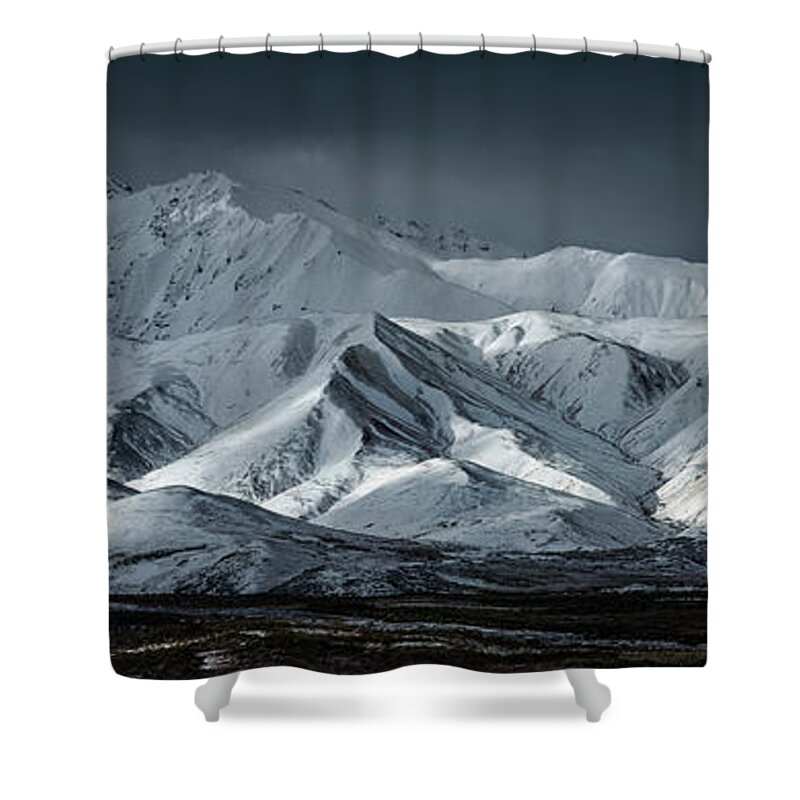 Denali Shower Curtain featuring the photograph Denali national park - Polychrome Pass under snow by Olivier Parent