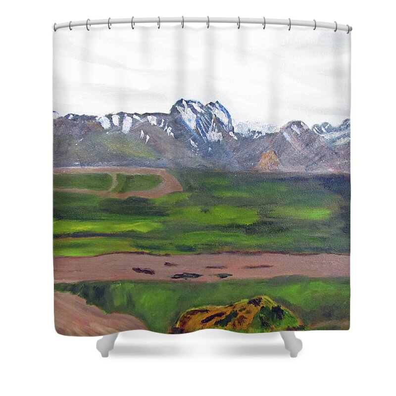 Alaska Shower Curtain featuring the painting Denali Park Spring by Linda Feinberg