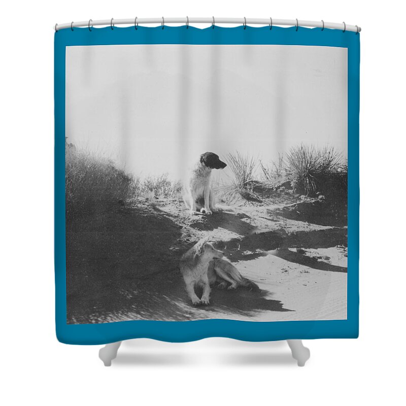 Mans Best Friend Shower Curtain featuring the photograph Desert Dogs by Thomas Dans