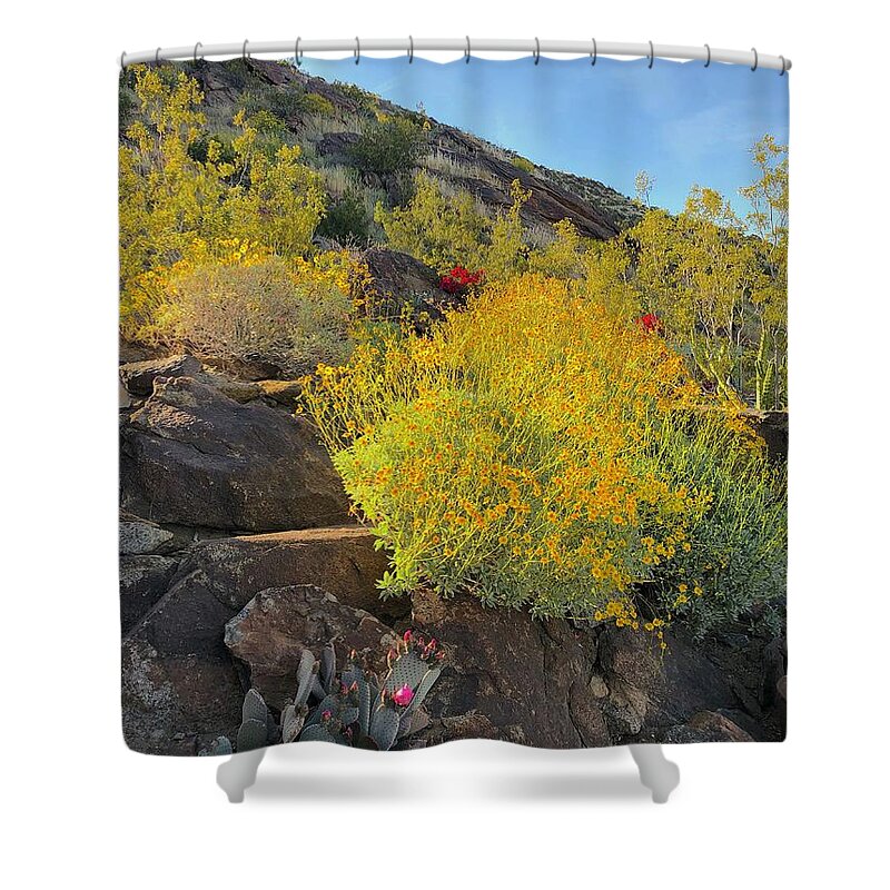Flowers Shower Curtain featuring the photograph Wild Flower by Leslie Porter