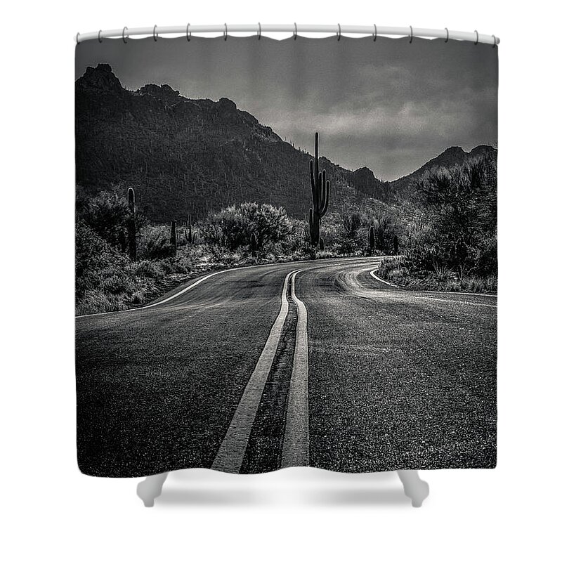 Road Shower Curtain featuring the photograph Desert Highway by Kevin Schwalbe