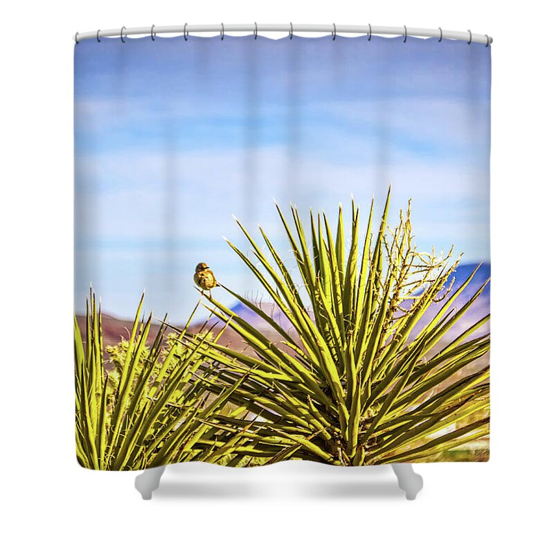 Wildlife Shower Curtain featuring the photograph Desert life by Tatiana Travelways