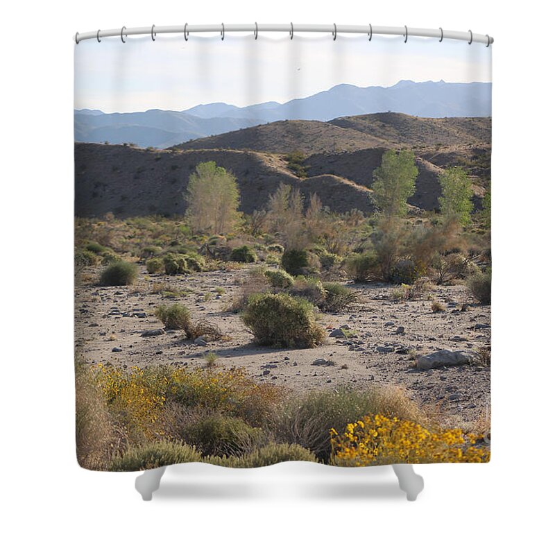 Desert Oasis Shower Curtain featuring the photograph Desert Scene 4 Coachella Valley Wildlife Preserve by Colleen Cornelius