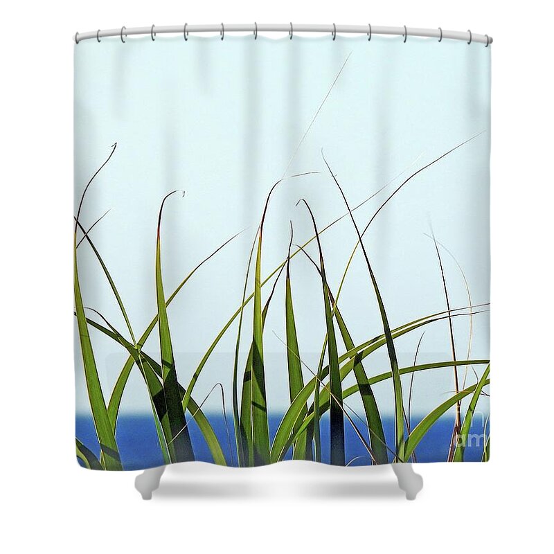 Beach Shower Curtain featuring the photograph Destin2021 40 by Lizi Beard-Ward