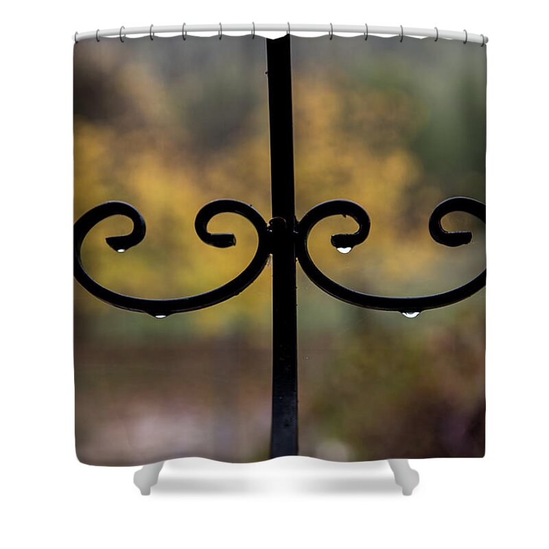Details Shower Curtain featuring the photograph Detail by Eleni Kouri