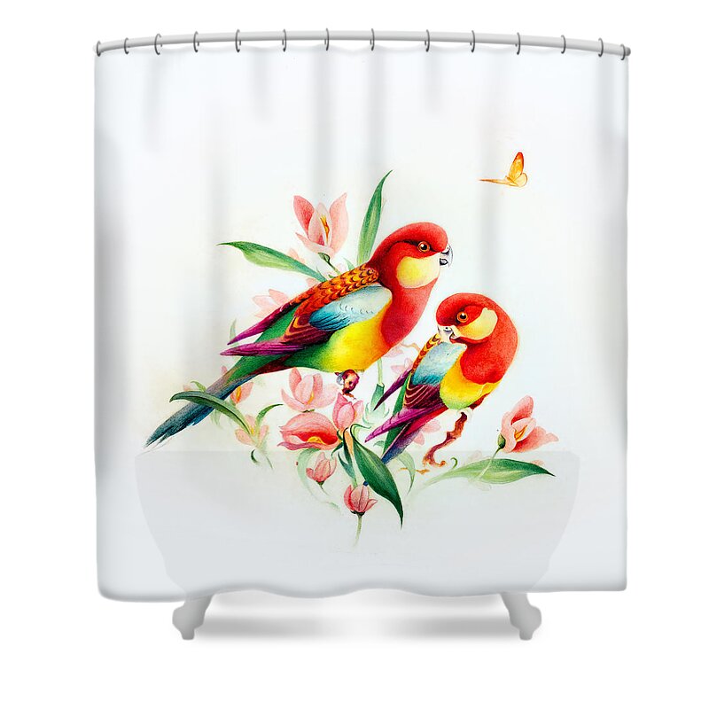 Edward Julius Detmold Shower Curtain featuring the photograph Detmold Two Birds by Munir Alawi
