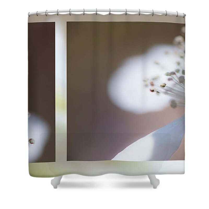 Dewberry Shower Curtain featuring the photograph Dewberry by Phil And Karen Rispin