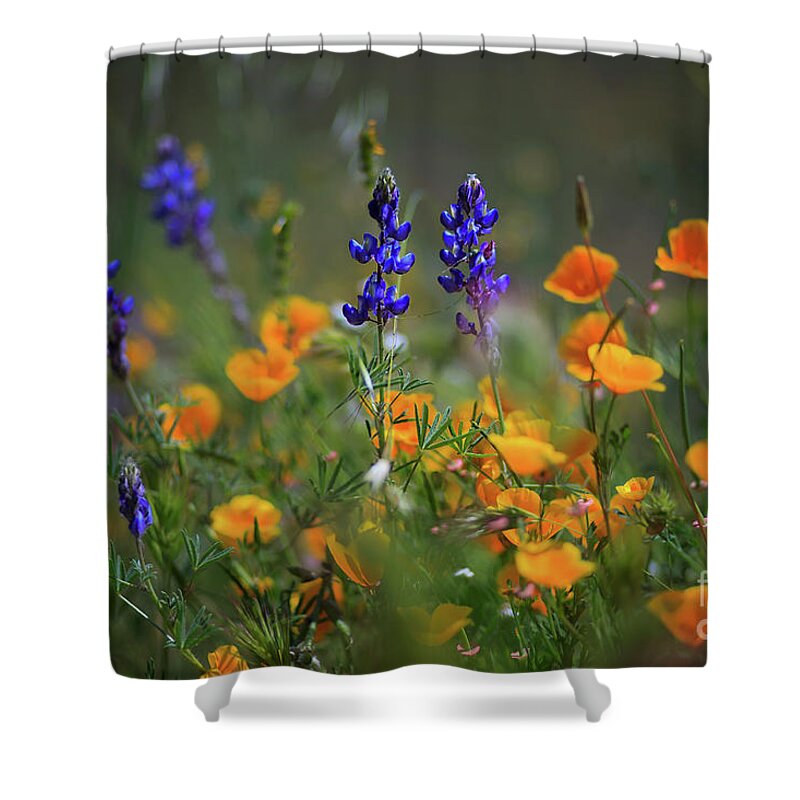 Lupine Shower Curtain featuring the photograph Diamond Valley Lake Wildflowers by Sam Antonio