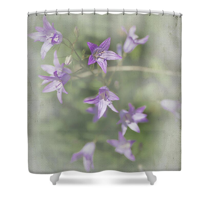 Dianella Shower Curtain featuring the photograph Dianella by Elaine Teague