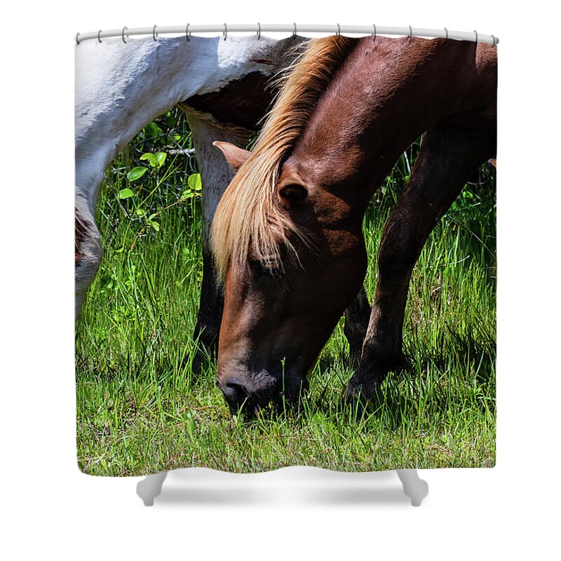 Assateague Island Shower Curtain featuring the photograph Dining for Three by Rose Guinther