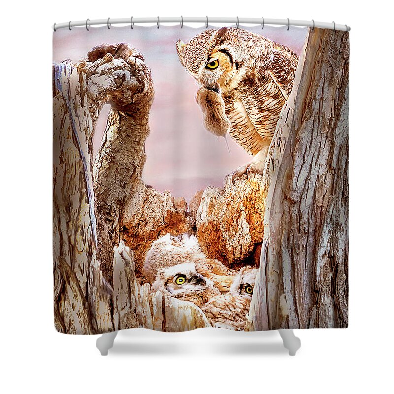 Great Horned Owl Shower Curtain featuring the photograph Dinner for the Great Horned Owl Family by Judi Dressler