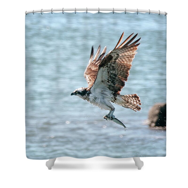 Betty Depee Shower Curtain featuring the photograph Dinner to Go by Betty Depee