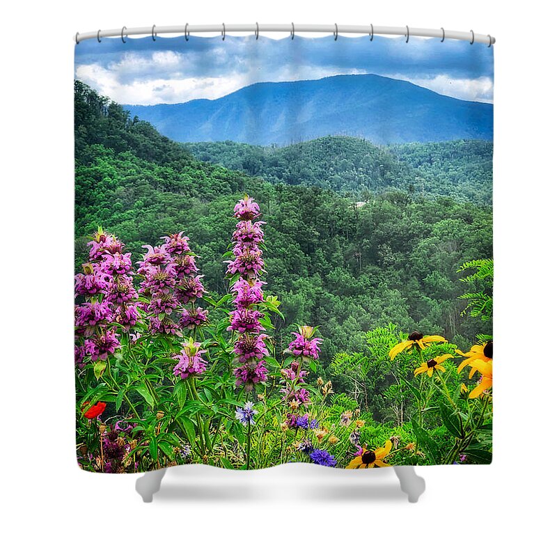  Shower Curtain featuring the photograph Dinner With a View by Jack Wilson