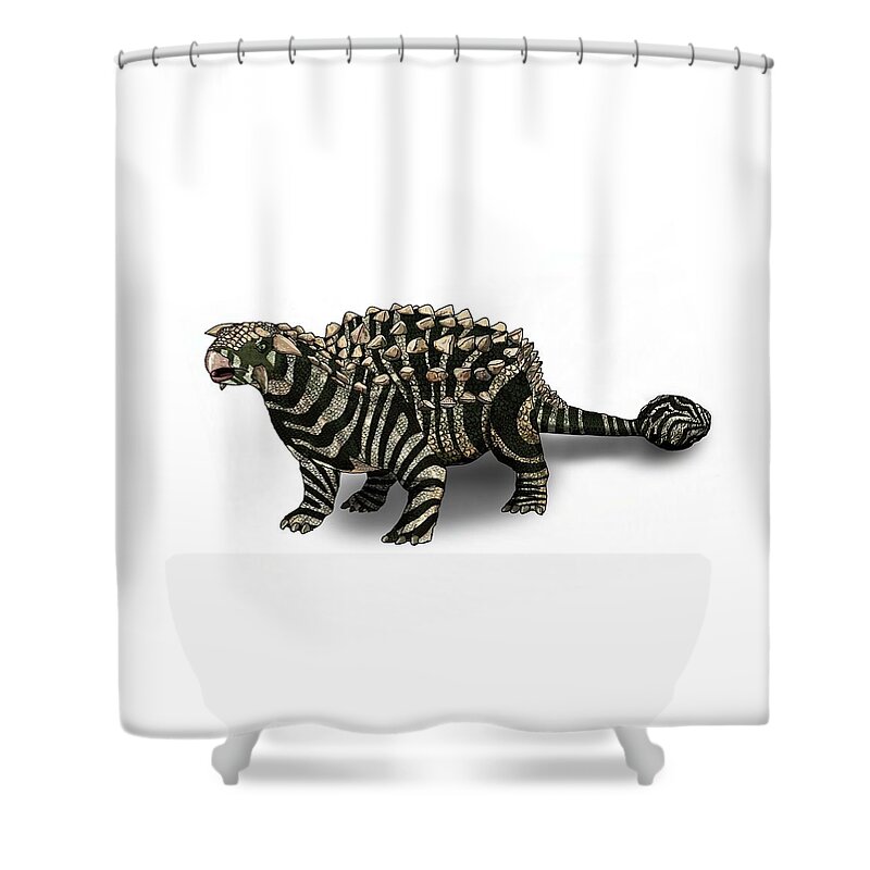 Dinosaur Shower Curtain featuring the drawing Dinosaur Zebra Ankylosaurus 2 by Joan Stratton