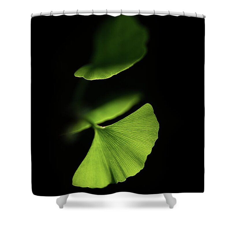 Leaves Shower Curtain featuring the photograph Discretion by Philippe Sainte-Laudy